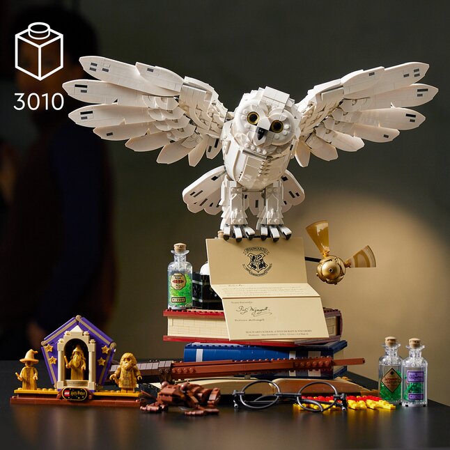 Huur LEGO Harry Potter™ Zweinstein™ Iconen - verzamelobjecten-76391